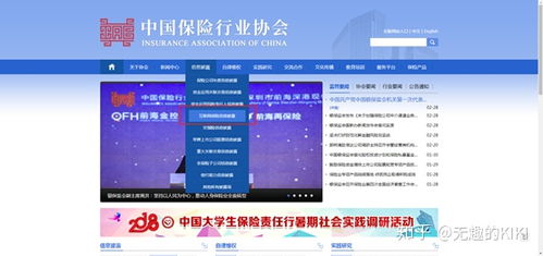 梧桐樹保險經紀 互聯網信息服務解析與市場認知